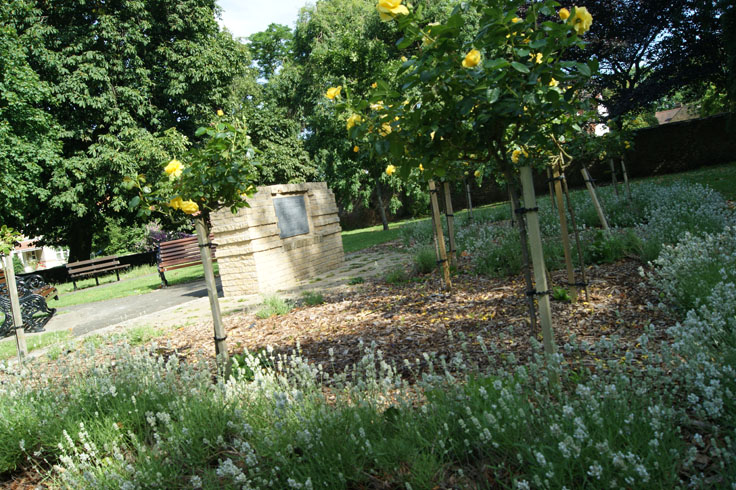 A stone sign with a bench behind it, and a tree with yellow flowers in front of it.